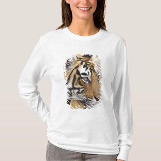Portrait of Royal Bengal Tiger, Ranthambhor T-Shirt
