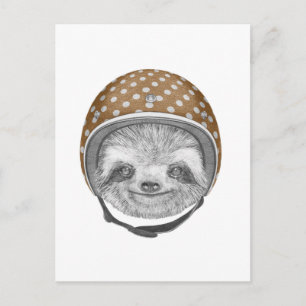 Portrait Of Sloth Motorcycle Helmet Postcard