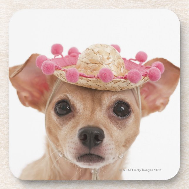 Portrait of small dog in sombrero coaster (Front)