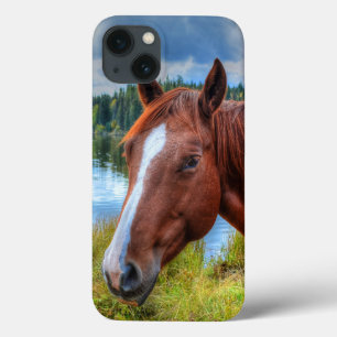 Portrait of Sorrel Mare & Scenic Lake Equine Photo iPhone 13 Case