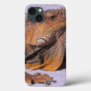 Portrait of the Iguana iPhone 13 Case