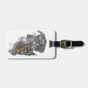 Portrait of Two Dobermans Luggage Tag