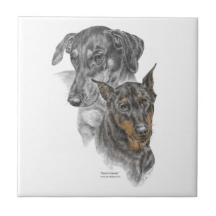 Portrait of Two Dobermans Tile