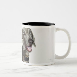 Portrait of Weimaraner dog Two-Tone Coffee Mug