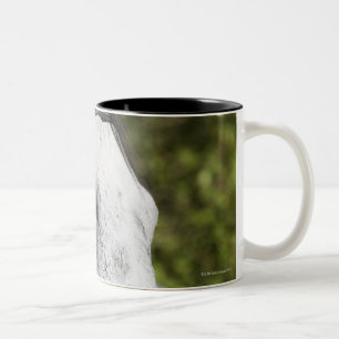 portrait of white horse 2 Two-Tone coffee mug