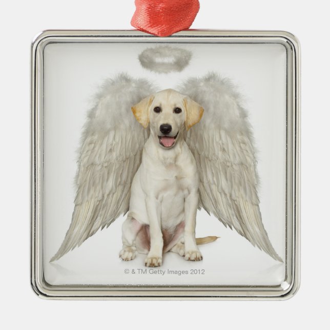 Portrait of white Labrador retriever wearing Metal Tree Decoration (Front)