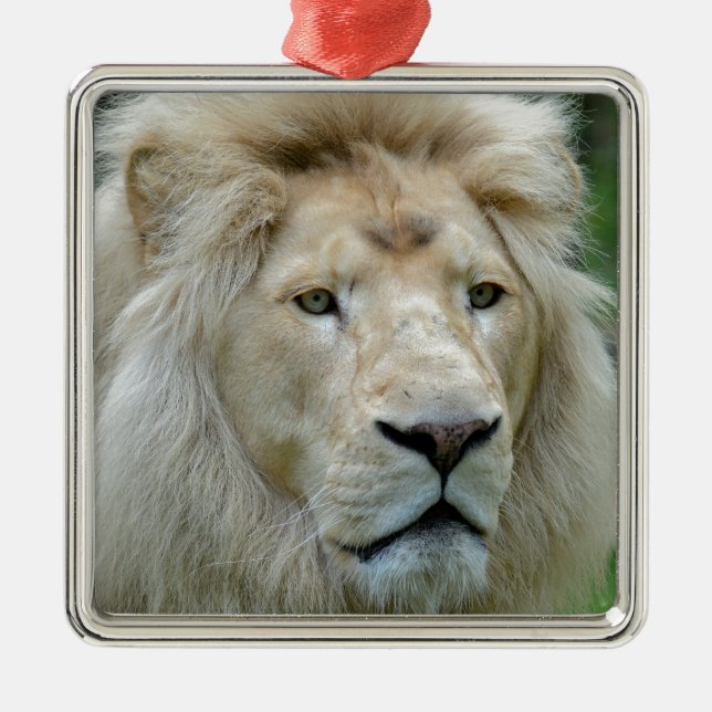 Portrait of white lion metal tree decoration (Front)