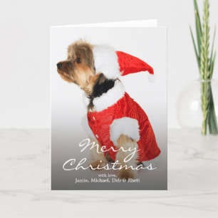 Portrait of Yorkshire Terrier Wearing Santa Hat Holiday Card