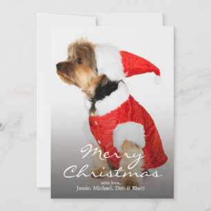 Portrait of Yorkshire Terrier Wearing Santa Hat Holiday Card