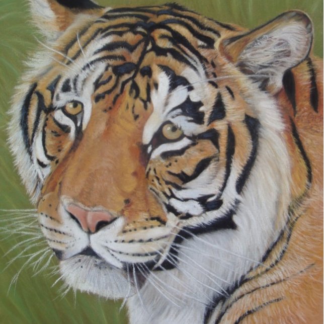 portrait painting of big cat tiger poster (Creator Uploaded)