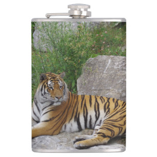 Portrait photo of a Siberian tiger Hip Flask