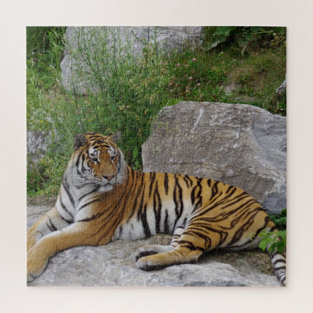 Portrait photo of a Siberian tiger Jigsaw Puzzle (Vertical)