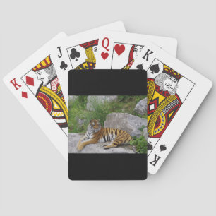Portrait photo of a Siberian tiger Playing Cards