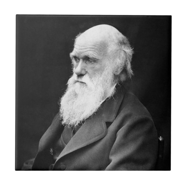 Portrait Photo of Charles Darwin Tile (Front)