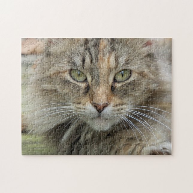 Portrait Photo Tabby Cat  Jigsaw Puzzle (Horizontal)