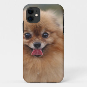 Portrait Pomeranian Dog Case-Mate iPhone Case