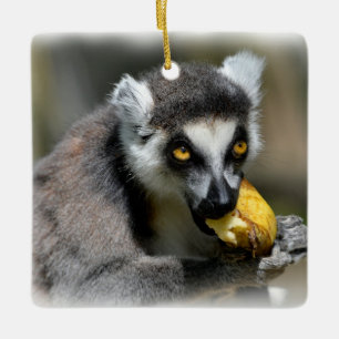 Portrait ring-tailed lemur eating a banana ceramic ornament