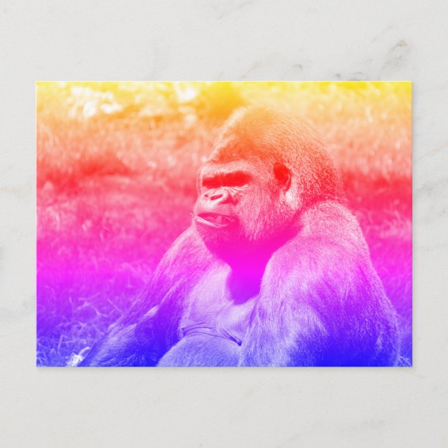 Portrait western lowland gorilla postcard (Front)
