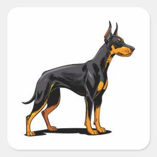 Portraits of a head Doberman dog front view Square Sticker
