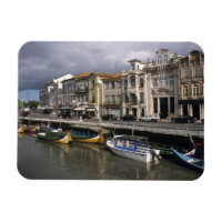 Portugal, Aveiro. Moliceiros (seaweed collecting