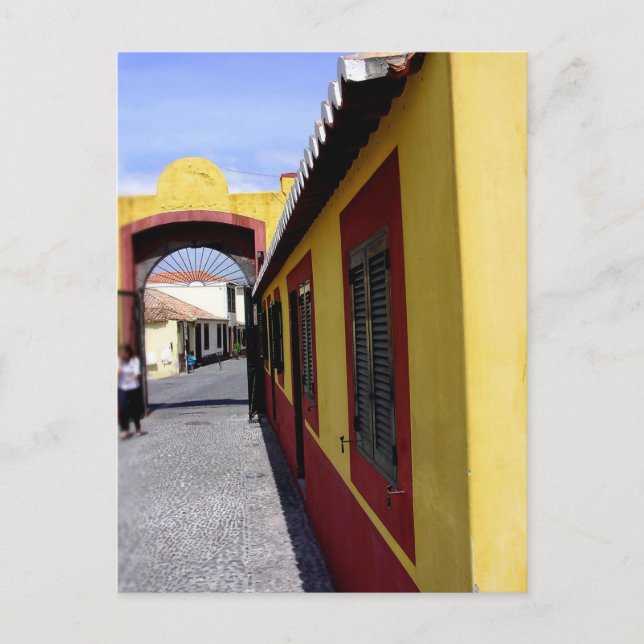 (Portugal) Colours of Funchal Postcard (Front)