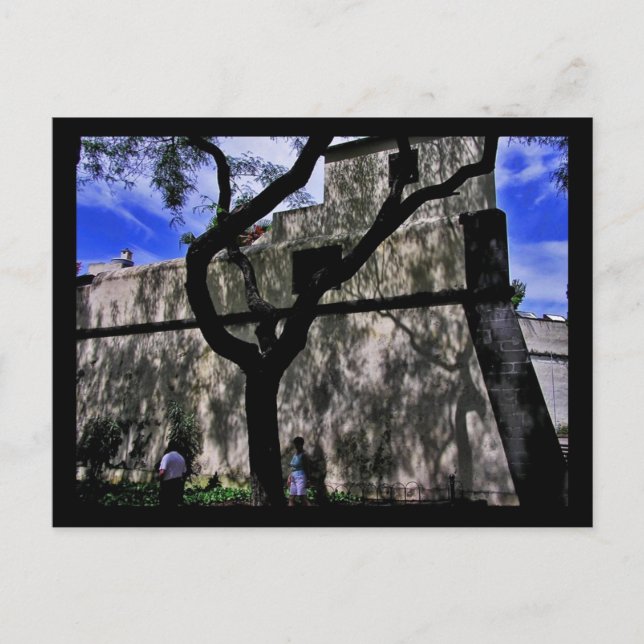 (Portugal) Funchal, Madeira Postcard (Front)