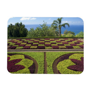 Portugal, Madeira Island, Funchal. Botanical Magnet