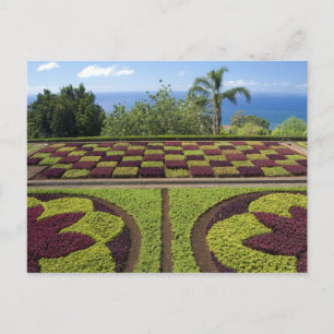 Portugal, Madeira Island, Funchal. Botanical Postcard