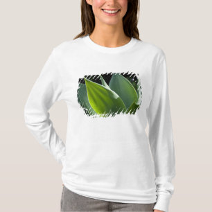 Portugal, Madeira Island, Funchal. Botanical T-Shirt