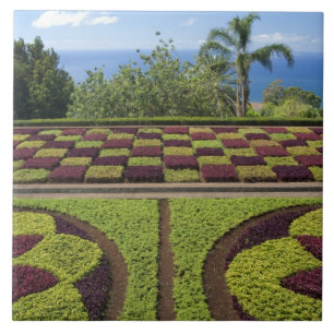 Portugal, Madeira Island, Funchal. Botanical Tile
