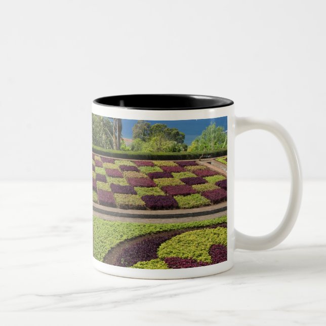 Portugal, Madeira Island, Funchal. Botanical Two-Tone Coffee Mug (Right)