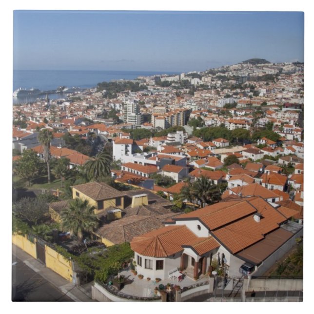 Portugal, Madeira Island, Funchal. Cable car Tile (Front)
