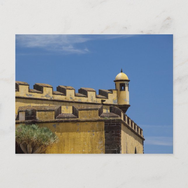 Portugal, Madeira Island, Funchal. Historic Postcard (Front)