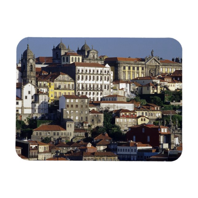 Portugal, Oporto (Porto). Historic houses and Magnet (Horizontal)