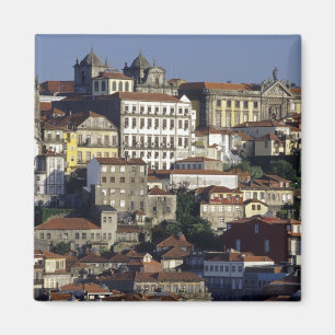 Portugal, Oporto (Porto). Historic houses and Magnet