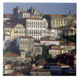 Portugal, Oporto (Porto). Historic houses and Tile