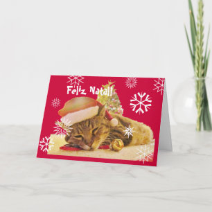 Portuguese: Christmas Kitty / Gatinho no Natal Holiday Card