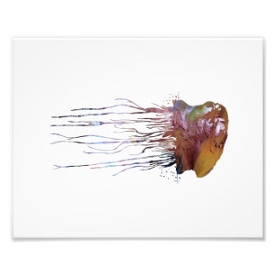 Portuguese man o' war photo print