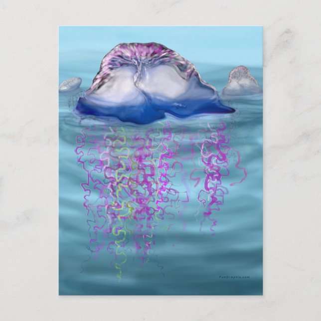 Portuguese man-of-war postcard (Front)