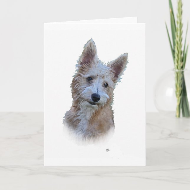 Portuguese Podengo Card (Front)