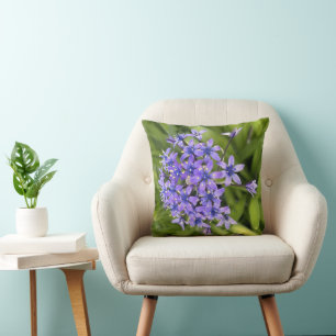 Portuguese Squill Flowers Closeup Nature Photo Cushion