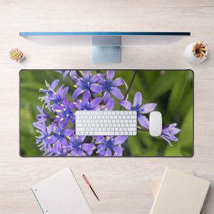 Portuguese Squill Flowers Closeup Nature Photo Desk Mat