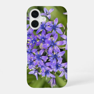 Portuguese Squill Flowers Closeup Nature Photo iPhone 16 Case