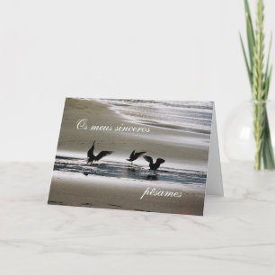 Portuguese sympathy card/condolencias: Seagulls Card