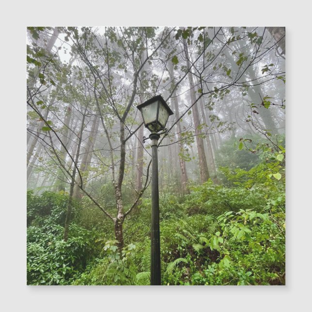 Portuguese vibes (Front)