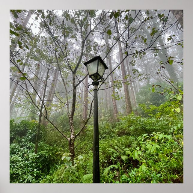 Portuguese vibes poster (Front)