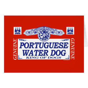 Portuguese Water Dog