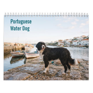 Portuguese Water Dog 2027 Wall calendar