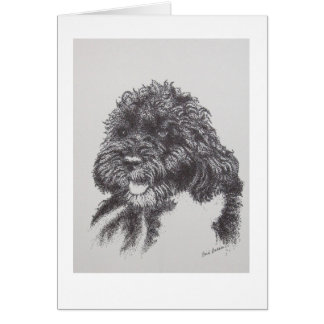 Portuguese Water Dog Bo Obama