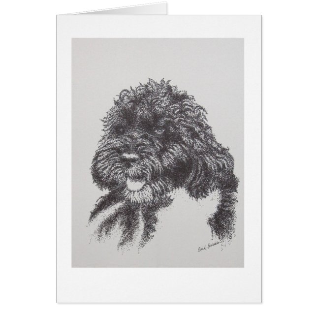 Portuguese Water Dog Bo Obama (Front)